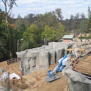 Rainforest of the Americas Construction site 1/1/2013