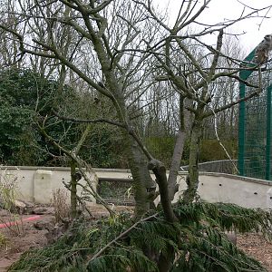 Meerkat exhibit at Blackpool Zoo, 08/04/13
