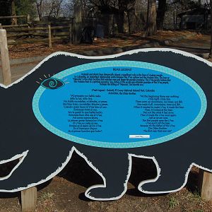 Predators- Andean Bear Legend