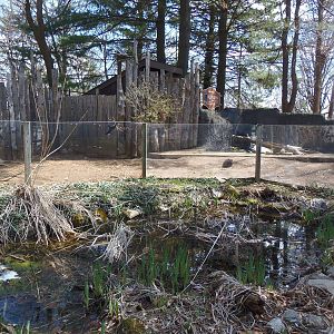 Alligator Alley- Marsh Pond and Part of Otter Exhibit