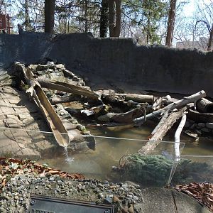Alligator Alley- Part of Otter Exhibit