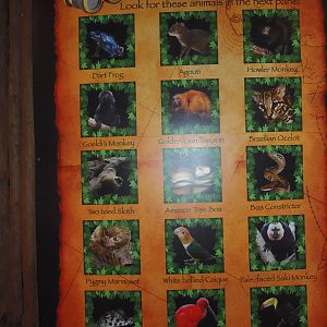 South American Rainforest- Where Are We? Sign