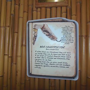 South American Rainforest- New Boa Constrictor Sign