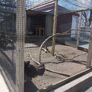 New England Farmyard- Domestic Poultry Coop #1