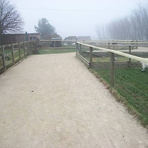 Filey Bird Garden and Animal Park, new pathway 12th April 2013