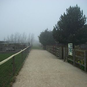 Filey Bird Garden and Animal Park, new pathway 12th April 2013