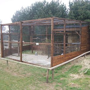 Filey Bird Garden and Animal Park, new aviary for Barn Owls 12th April 2013