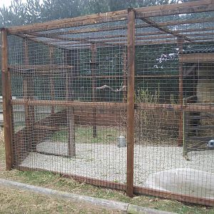 Filey Bird Garden and Animal Park, new aviary for Barn Owls 12th April 2013