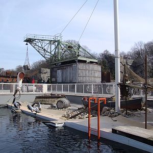 Penguin and Pelican Exhibit at Hannover, 23/03/13