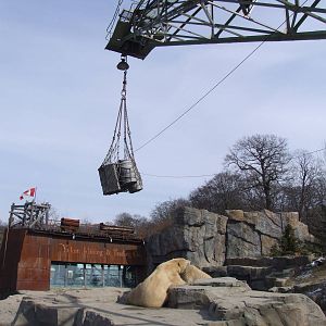 Polar Bear Exhibit at Hannover, 23/03/13