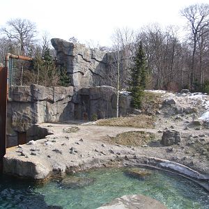 Polar Bear Exhibit at Hannover, 23/03/13