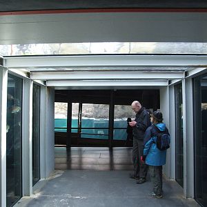 Penguin and Polar Bear Underwater Viewing at Hannover, 23/03/13