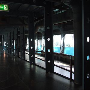 Polar Bear Underwater Viewing at Hannover, 23/03/13