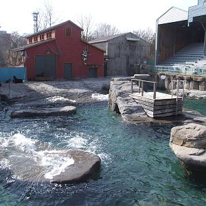 Pinniped Exhibit at Hannover, 23/03/13