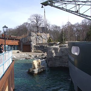 Polar Bear Exhibit at Hannover, 23/03/13