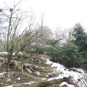 Red Panda/Muntjac Exhibit at Hannover, 23/03/13