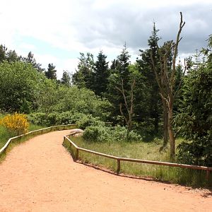 Givskud Zoo - Madagascar Island