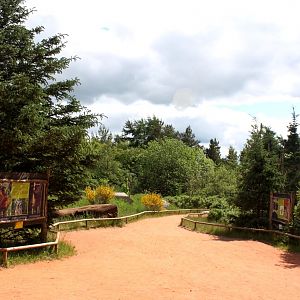 Givskud Zoo - Madagascar Island