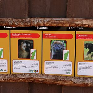 Givskud Zoo - Madagascar Island (Signage)