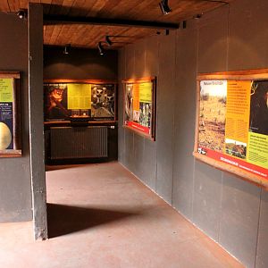 Givskud Zoo - Madagascar Island (House)