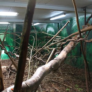 Givskud Zoo - Madagascar Island (House)