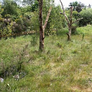 Givskud Zoo - Madagascar Island