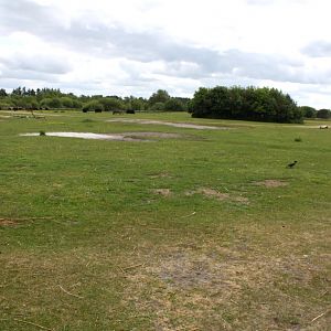 Givskud Zoo - African Savannah #3