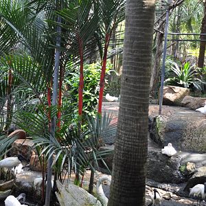 Inside of waterfowl aviary