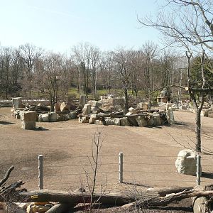 New Elephant complex