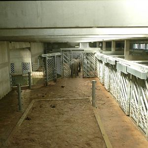 New Elephant complex