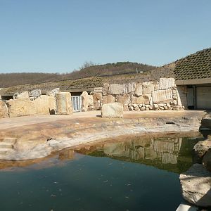 Hippo outdoor pool and yard