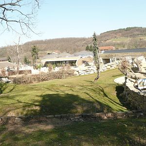 New Antelope paddock