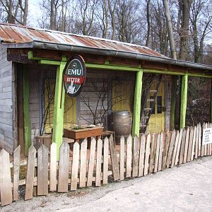 Australian Aviary at Hannover, 23/03/13