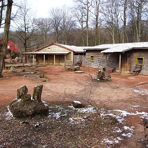 Main Australian Paddock at Hannover, 23/03/13