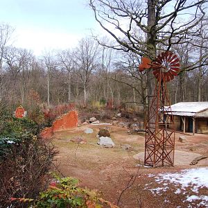 Main Australian Paddock at Hannover, 23/03/13
