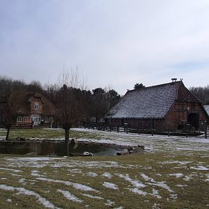 Farmyard at Hannover, 23/03/13