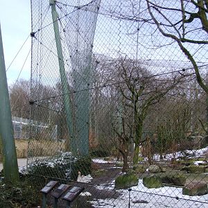Bird of Prey Aviary at Hannover, 23/03/13
