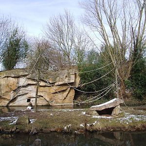 Gibbon Enclosure at Hannover, 23/03/13