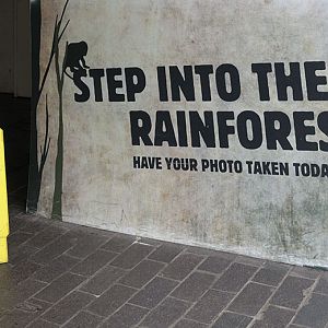 Health and Safety at the Clore