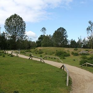 Givskud Zoo - Blackbuck enclosure