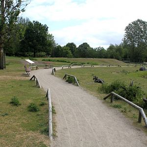 Givskud Zoo - Blackbuck enclosure