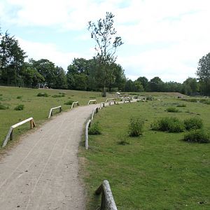 Givskud Zoo - Blackbuck enclosure