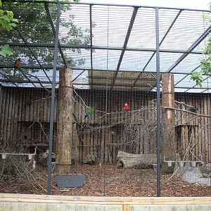 Givskud Zoo - Macaw aviary