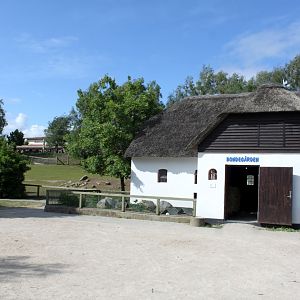 Givskud Zoo - Petting Zoo (Farm area)