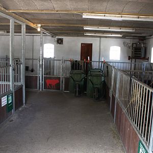Givskud Zoo - Petting Zoo (Farm)