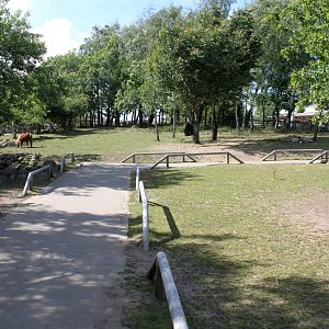 Givskud Zoo - Petting Zoo (Walkthrough)