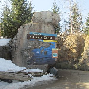 Russia's Grizzly Coast