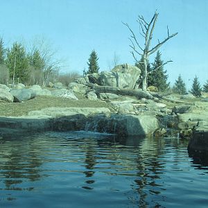 Bear Exhibit