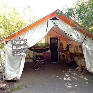 Jaguar Cove Research Station