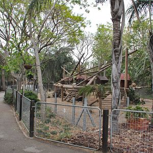 General view of coatis enclosure